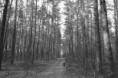 /album/fotogaleria/krasnoludek-jpg/